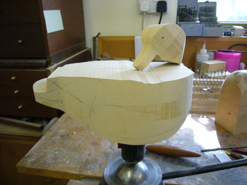 Preening hen teal blocks before carving by Bird carver Feathervarver David Patrick-Brown