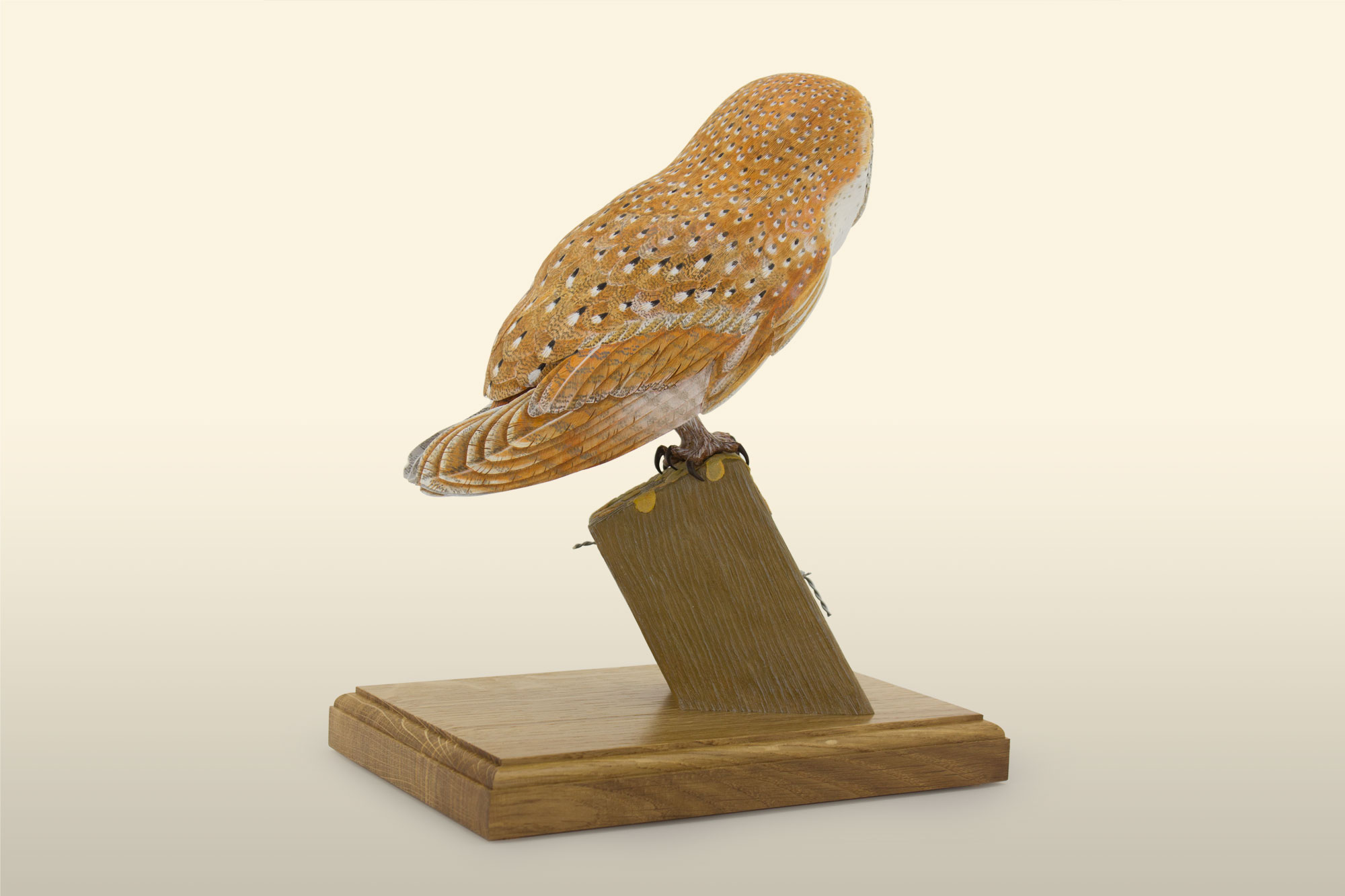 Barn owl bird carving, by Feathercarver David Patrick-Brown