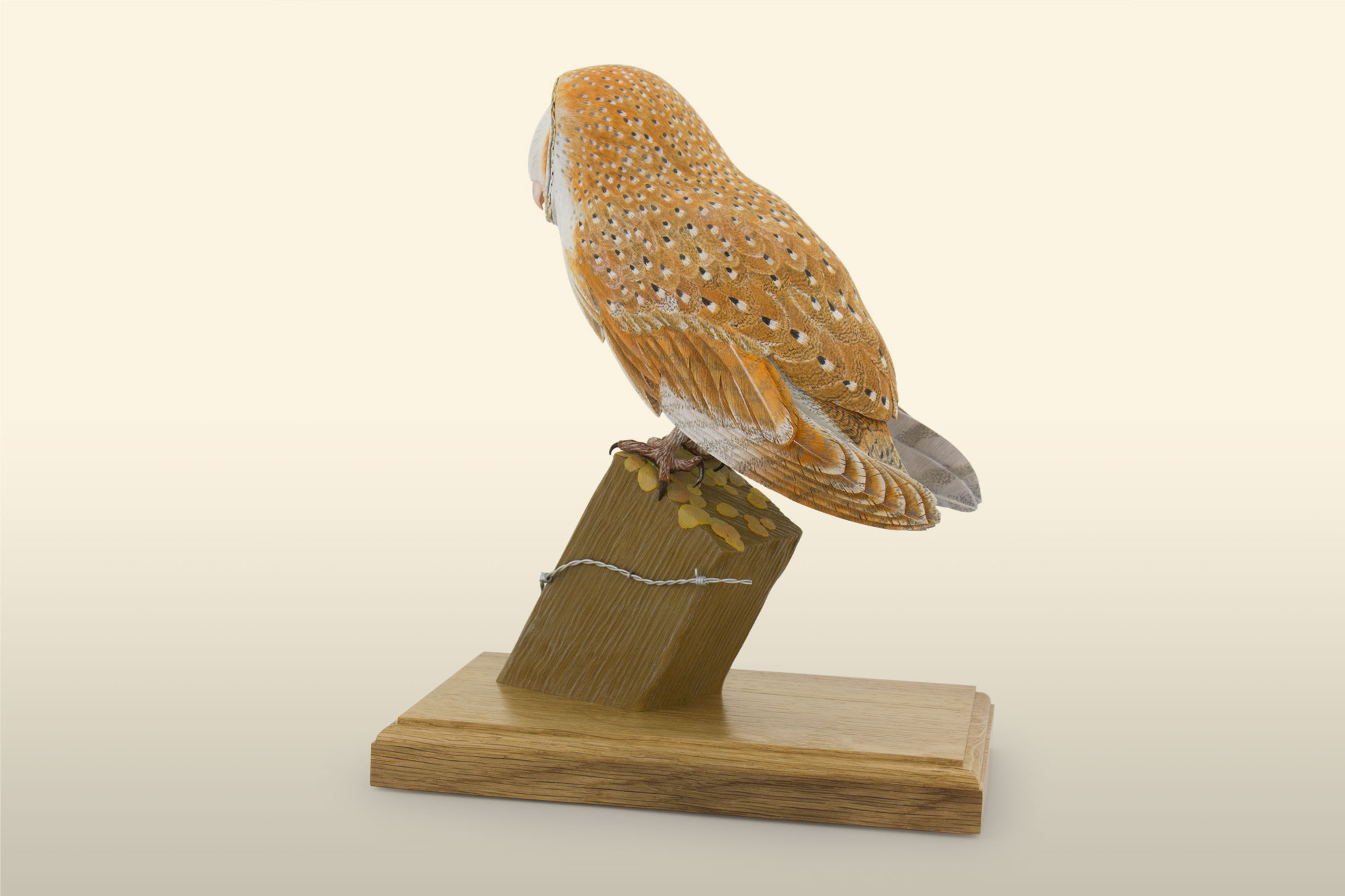 Barn owl bird carving, by Feathercarver David Patrick-Brown