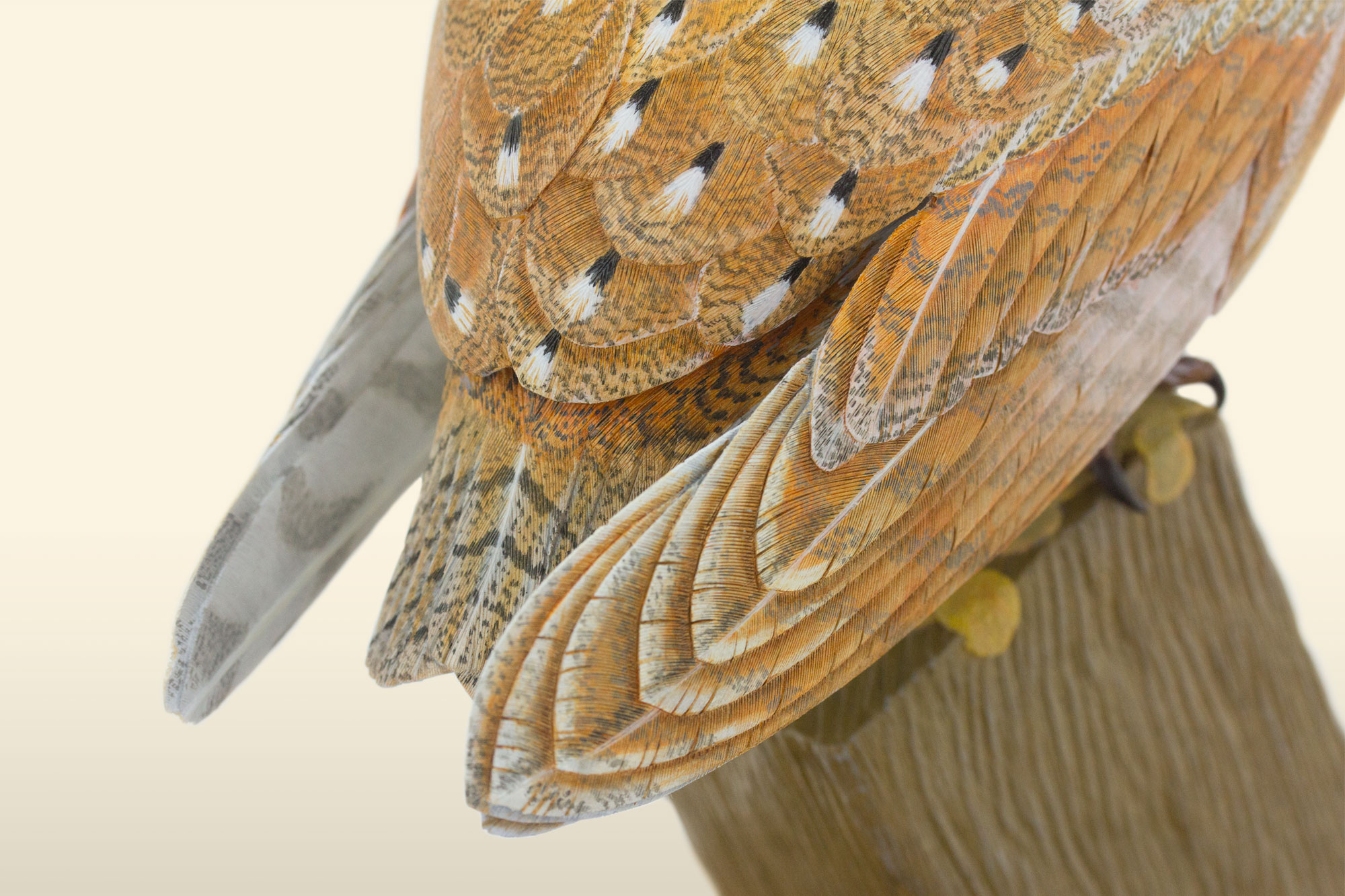 Barn owl bird carving, tail detail, by Feathercarver David Patrick-Brown