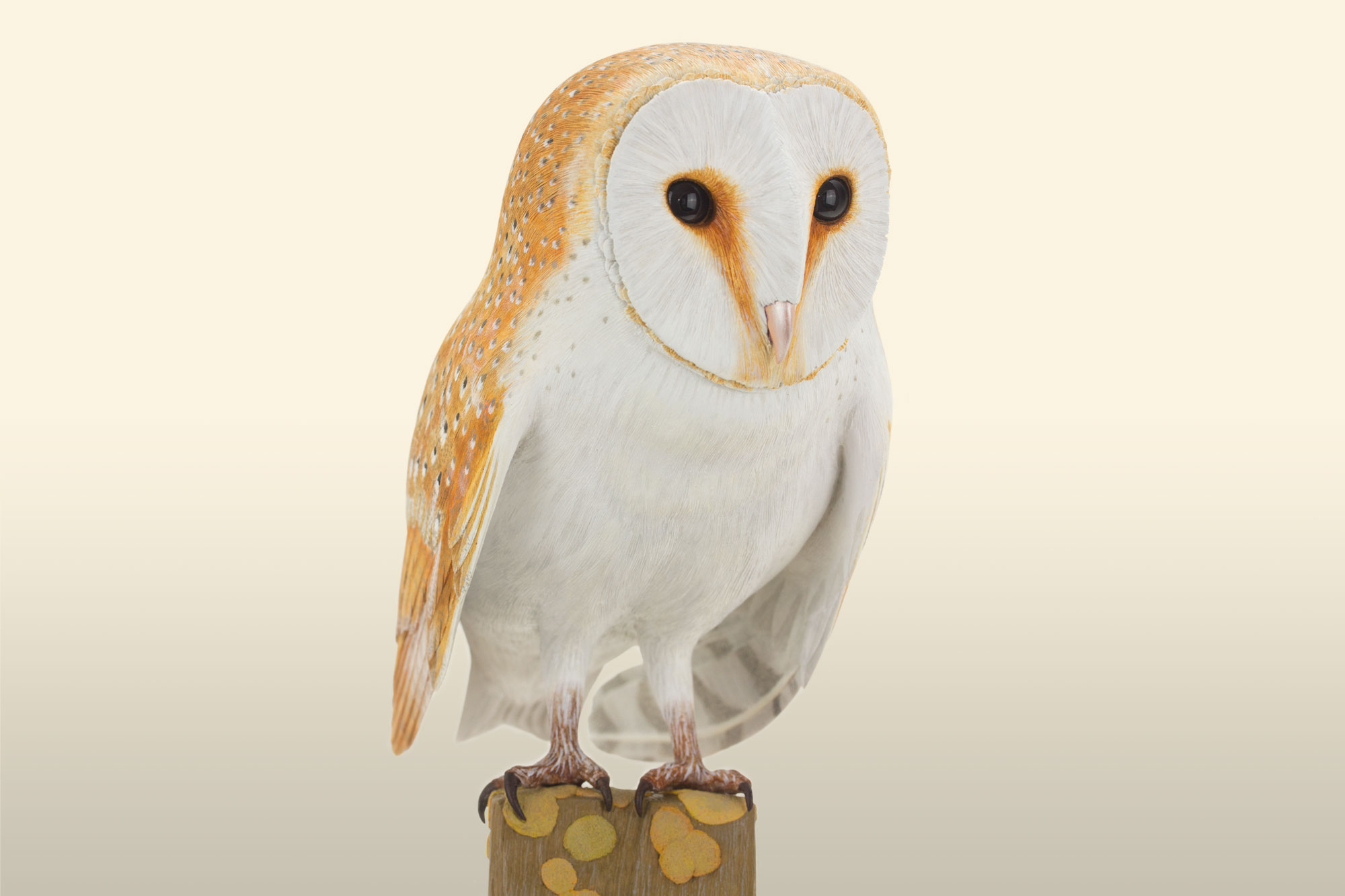 Barn owl bird carving, by Feathercarver David Patrick-Brown