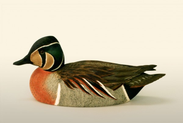 Baikal Teal left side view bird wood carving by Feathercarver David Patrick-Brown
