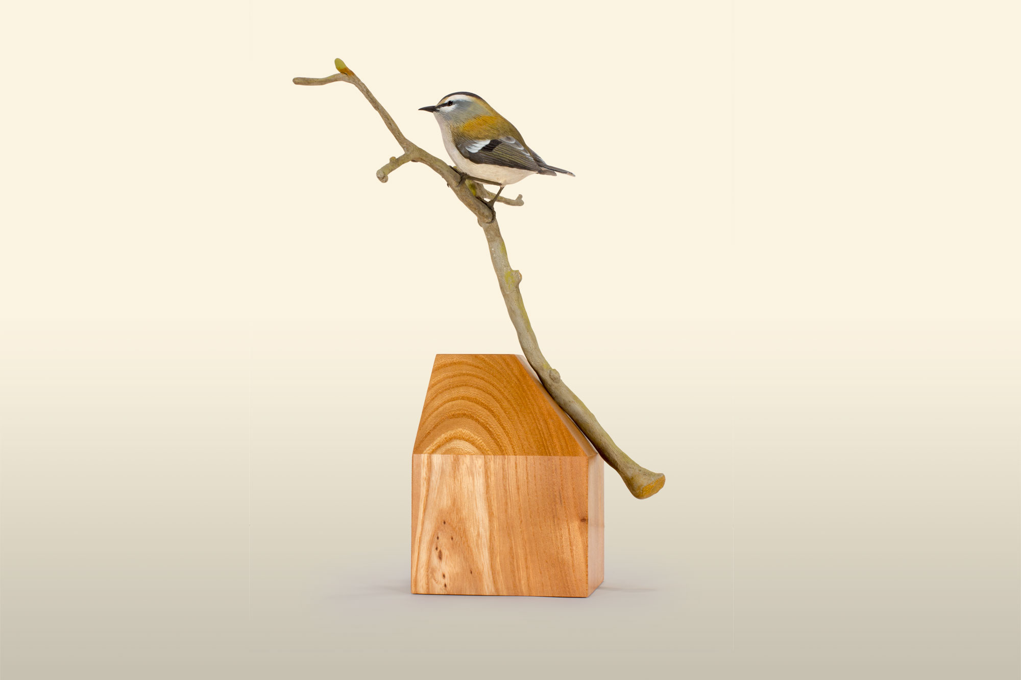 Firecrest bird wood carving by Feathercarver David Patrick-Brown