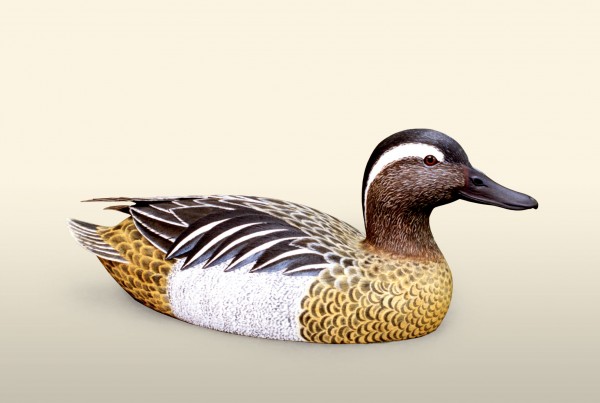 Garganey Drake right side view bird wood carving by Feathercarver David Patrick-Brown