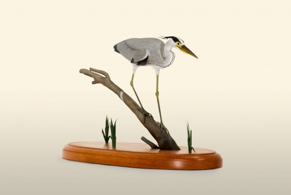 Heron right side view bird wood carving by Feathercarver David Patrick Brown