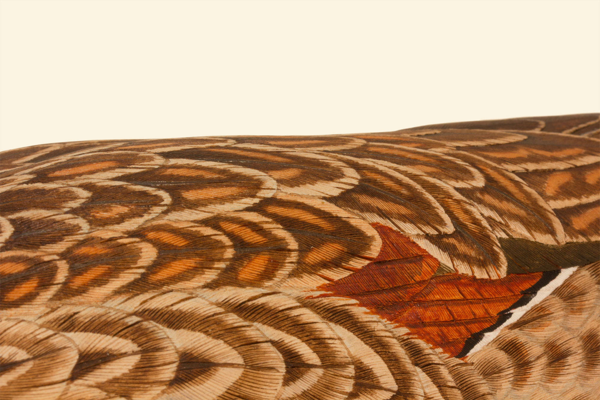 Pintail Hen 75% feather detail bird wood carving by Feathercarver David Patrick-Brown