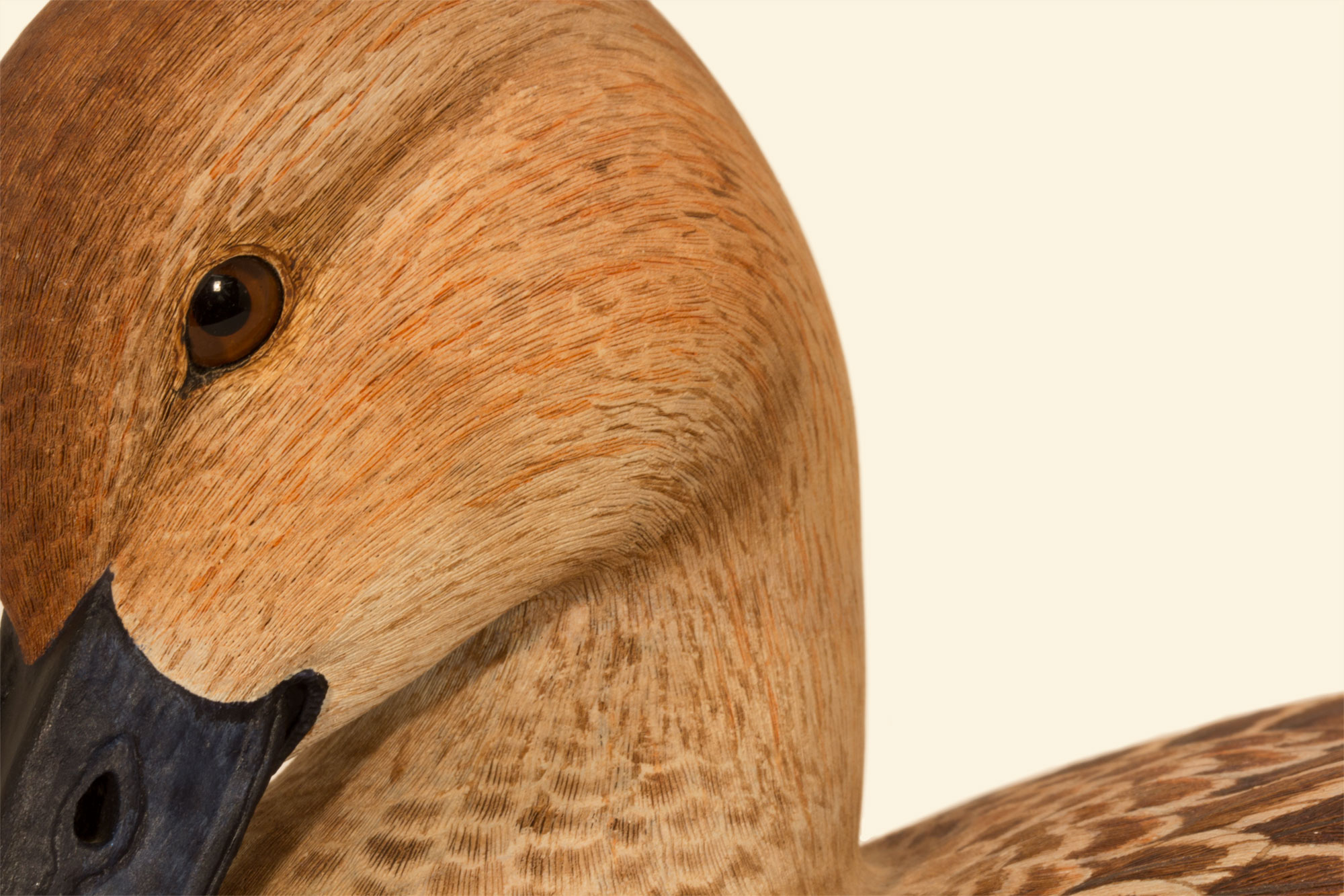 Pintail Hen 75% head detail bird wood carving by Feathercarver David Patrick-Brown
