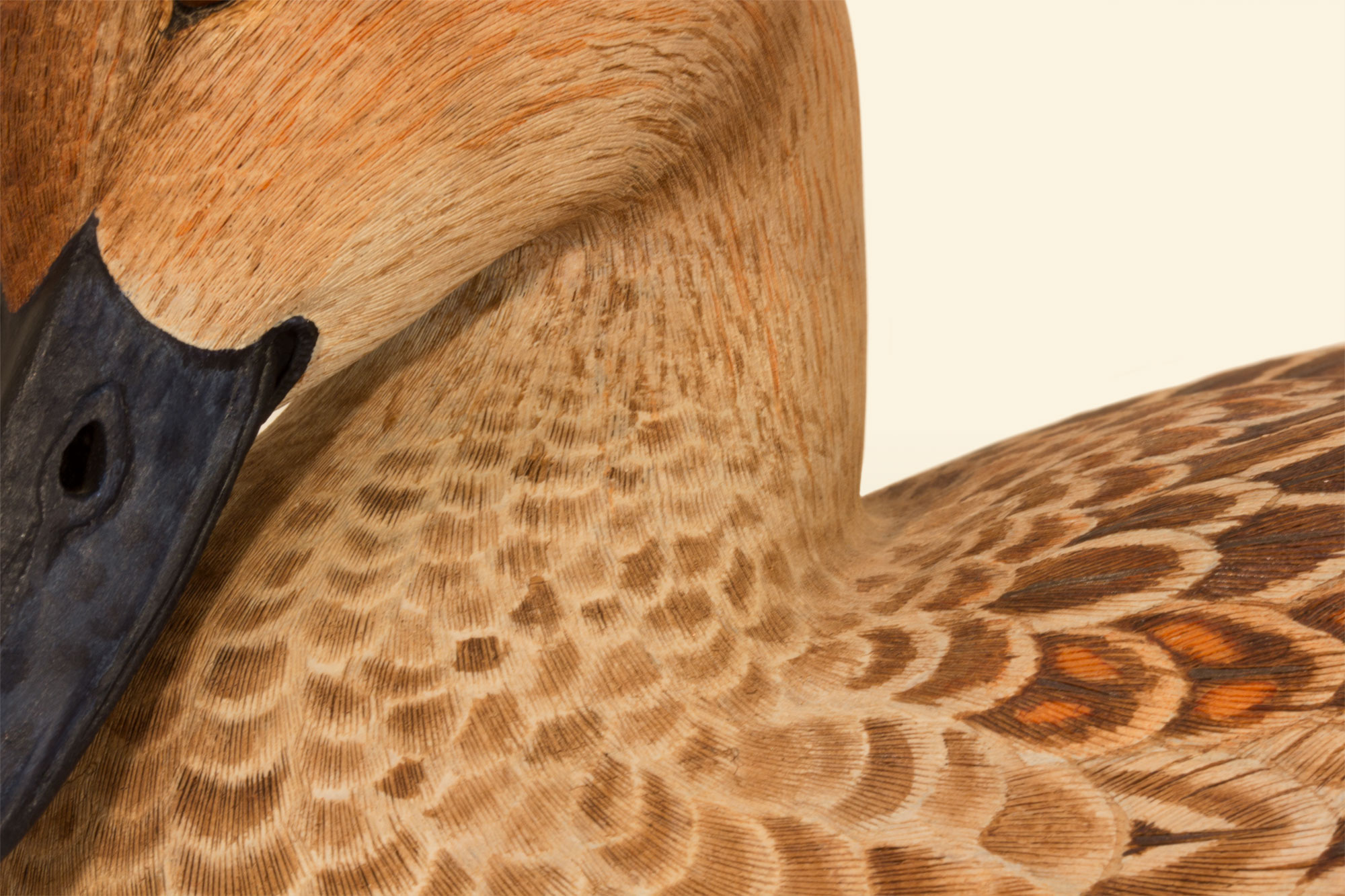 Pintail Hen 75% neck detail bird wood carving by Feathercarver David Patrick-Brown
