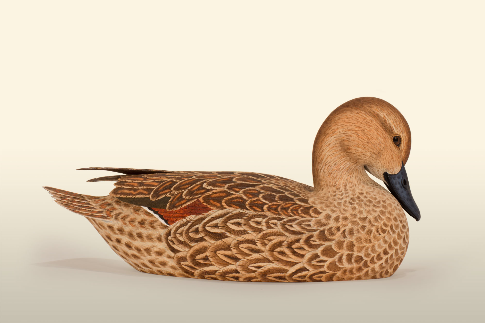 Pintail Hen 75% right view bird wood carving by Feathercarver David Patrick-Brown