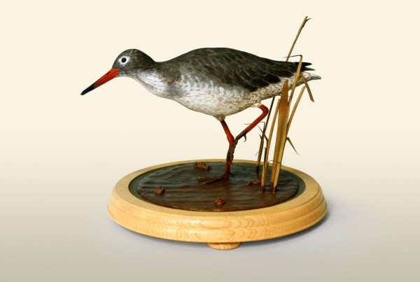 Redshank bird wood carving by Feathercarver David-Patrick-Brown