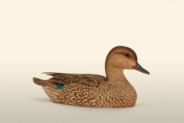 Teal Hen right view bird wood carving by Feathercarver David Patrick-Brown