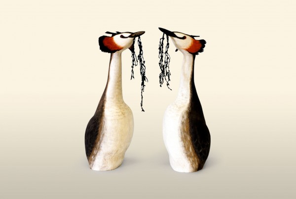 Great Crested Grebe pair of birds wood carving by Feathercarver David Patrick-Brown