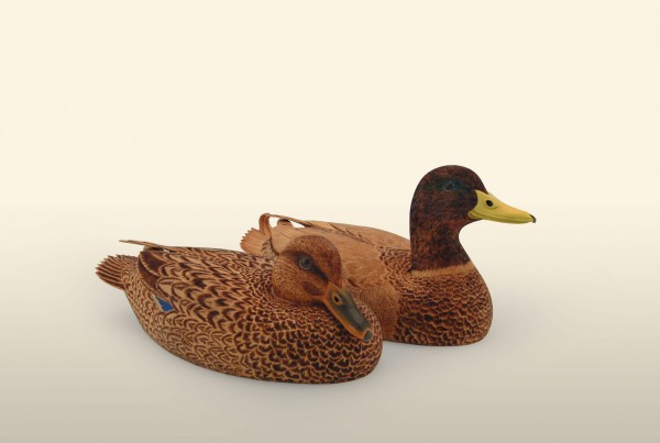 Mallard Pair unpainted 75% right view bird wood carving by Feathercarver David Patrick-Brown